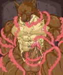  2008 anthro balls barazoku brown_body brown_fur canid canine canis domestic_dog erection fur genitals kemono male mammal muscular muscular_male nipples penetration penis scar solo tentacles unknown_artist urethral urethral_penetration 