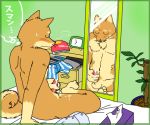  2009 anthro bed blush bodily_fluids brown_body brown_fur canid canine canis cum domestic_dog ejaculation eyes_closed fur furniture genital_fluids kemono low_res male mammal masturbation mirror nipples sitting sweat unknown_artist 