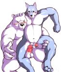  2008 anthro balls black_nose blush canid canine canis domestic_dog duo erection fur genitals humanoid_hands iceman1984 kemono male male/male mammal musclegut overweight overweight_male penis polar_bear simple_background ursid ursine white_background white_body white_fur 