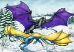  2021 ambiguous_gender claws day detailed_background dragon duo feral hi_res horn membrane_(anatomy) membranous_wings natoli open_mouth outside scales scalie sky snow spines teeth tongue traditional_media_(artwork) western_dragon wings 