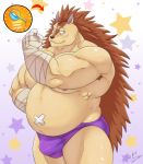  2021 anthro armpit_hair belly blush body_hair brown_body brown_fur bulge clothing eulipotyphlan fur hedgehog hi_res humanoid_hands jabuhusky majiro_the_hedgehog male mammal moobs musclegut nipples overweight overweight_male sleepy_princess_in_the_demon_castle solo underwear 