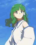  1girl bangs bare_shoulders blue_sky blunt_bangs blush breasts closed_mouth cloud collared_shirt commentary detached_sleeves ears eyebrows_visible_through_hair floating_hair frog_hair_ornament green_eyes green_hair hair_ornament hair_tubes highres kochiya_sanae long_hair long_sleeves looking_away looking_to_the_side medium_hair shiratama_(hockey) shirt sidelocks sky sleeveless sleeveless_shirt small_breasts smile snake_hair_ornament solo symbol_commentary tareme touhou upper_body white_shirt wing_collar 