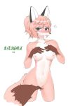  anthro blush breasts canid canine dipstick_tail female fox fur genitals gloves_(marking) hair herbivore_high_school hi_res hoho_(herbivore_high_school) kemono korean_text looking_at_viewer mammal markings multicolored_tail navel nipples nude pussy simple_background solo swetpot text translated white_background white_body white_fur 