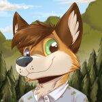  1:1 2021 anthro blue_eyes brown_body brown_fur canid canine cheek_tuft clothed clothing cloud cute_face day detailed_background facial_tuft fur green_eyes heterochromia hi_res inner_ear_fluff louart mammal neck_tuft orange_body orange_fur outside plant shirt sky smile solo topwear tree tuft white_body white_fur 