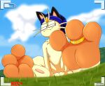  anthro camera_view cornchip21 day digit_ring feet field foot_focus hi_res jewelry jinu_(character) looking_at_viewer low-angle_view male meowth nintendo outside pawpads paws pink_pawpads pok&eacute;mon pok&eacute;mon_(species) recording ring sitting smug soles spread_toes toe_curl toe_ring toes video_games 