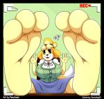  3_toes 5_fingers animal_crossing anthro big_breasts black_border border breasts camera_view canid canine canis clothed clothing cornchip21 dialogue domestic_dog dress feet feet_up female fingers foot_focus heartman98 hi_res isabelle_(animal_crossing) looking_at_viewer mammal nintendo paws recording soles solo toes video_games 