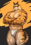  abs absurd_res anthro asian_clothing biceps bulge clothing east_asian_clothing felid fundoshi fur hi_res japanese_clothing live-a-hero male mammal mask muscular muscular_anthro muscular_male pantherine pecs ryekie_(live-a-hero) solo striped_body striped_fur stripes superhero tiger traver009 underwear veiny_muscles 