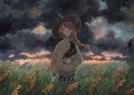  1girl bird black_eyes black_headwear braid braided_ponytail brown_sweater cloud cloudy_sky crow expressionless feet_out_of_frame grass hat heikala highres long_hair long_sleeves looking_at_viewer original outdoors sky solo sweater traditional_media witch_hat 