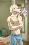  anthro beastars bird_dog blurred_background blush boxers_(clothing) canid canine canis clothed clothing domestic_dog fangs floppy_ears hi_res hunting_dog jack_(beastars) labrador male mammal nipples partially_clothed retriever solo speech_bubble tailwag text thekinkybear underwear 