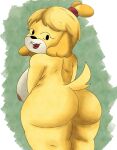  animal_crossing anthro big_breasts big_butt breasts butt canid canine canis domestic_dog eifiemoth female fur hair hi_res isabelle_(animal_crossing) looking_at_viewer looking_back mammal nintendo nipples nude open_mouth rear_view shih_tzu smile solo standing teeth thick_thighs tongue toy_dog video_games wide_hips yellow_body yellow_fur 