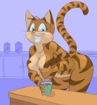  2017 anthro beverage bodily_fluids breasts celine_(vinfox) coffee domestic_cat felid feline felis female lactating mammal smile solo vinfox 