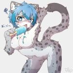  1:1 acky05 anthro blue_eyes blue_hair blush breasts dripping felid female food fur grey_body grey_fur grey_spots hair hi_res holding_food holding_object holding_popsicle licking_popsicle mammal navel nude pantherine popsicle signature simple_background snow_leopard solo spots spotted_body spotted_fur suzune_(acky05) white_background 