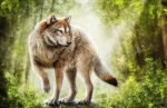  2015 ambiguous_gender brown_body brown_fur canid canine canis day detailed detailed_background detailed_fur elena_roslyakova feral forest fur hi_res light lighting mammal outside plant solo sunbeam sunlight tree wolf 