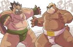  2021 anthro ashigara belly brown_body brown_fur canid canine canis domestic_dog duo fur hi_res hottophoto humanoid_hands kemono male mammal moobs nipples overweight overweight_male scar sumo tokyo_afterschool_summoners ursid video_games yasuyori 