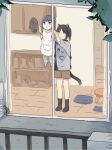  2girls animal_ears apron black_hair black_legwear blue_eyes blue_hair cat_ears cat_tail cleaning glass_door height_difference hibike!_euphonium highres holding_another indoors kasaki_nozomi liz_to_aoi_tori lyy multiple_girls outdoors plant red_eyes shorts socks tail wiping yoroizuka_mizore 