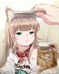  2021 40hara animal_humanoid brush brushing brushing_hair cat_humanoid collar comb_(brush) domestic_cat felid felid_humanoid feline feline_humanoid felis female feral fur green_eyes hair hairbrush half-closed_eyes hi_res humanoid kinako_(40hara) mammal mammal_humanoid multiple_images narrowed_eyes personal_grooming photography_(artwork) real reference_image solo_focus styling_hair tan_hair young 