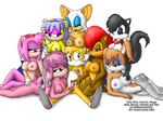  amy_rose bunnie_rabbot hershey_the_cat julie-su knownvortex mina_mongoose rouge_the_bat sally_acorn sonic_team tails 