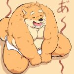  1:1 2021 anthro belly black_nose brown_body brown_fur canid canine canis domestic_dog eyes_closed fur hi_res japanese_text kemono male mammal moobs mtmnkmn overweight overweight_anthro overweight_male simple_background sitting solo text towel 