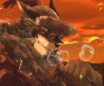  2021 anthro brown_body brown_fur brown_hair canid canine canis clothed clothing detailed_background fur gloves hair handwear hat headgear headwear mammal multicolored_body multicolored_fur ohayashi55 outside solo sunset tan_body tan_fur temujin tokyo_afterschool_summoners two_tone_body two_tone_fur video_games wolf yellow_eyes 