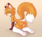  anthro bedroom_eyes blush bulge butt canid canine clothing fox fox_(minecraft) green_eyes legwear luxx male mammal narrowed_eyes orange_body presenting presenting_hindquarters raised_tail seductive solo thigh_highs underwear 