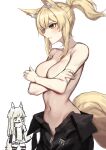  2girls absurdres animal_ear_fluff animal_ears arknights bangs blonde_hair breasts covering covering_breasts crossed_arms highres jacket large_breasts large_tail long_hair molyb multiple_girls navel nearl_(arknights) parted_lips platinum_(arknights) ponytail sidelocks silver_hair simple_background stomach tail topless white_background white_jacket yellow_eyes 