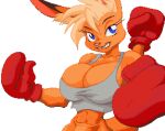  2d animated anthro arcade big_breasts blinking blonde_hair blue_eyes bouncing_breasts boxing boxing_gloves breasts buckteeth cleavage clothed clothing digital_media_(artwork) female fighting_pose fur hair handwear hazaz huge_breasts impossible_clothing inner_ear_fluff intro ko_(fabio_paulino) muscular muscular_anthro muscular_female navel orange_body orange_fur pink_nose pixel_(artwork) pose pouch_(anatomy) shirt short_playtime skimpy small_waist solo sport tank_top teeth topwear tuft undersized_clothing 