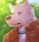  2007 anthro biped canid canine canis clothing domestic_dog kemono low_res male mammal outside portrait red_eyes shirt solo syukouakanaru topwear 