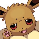  1:1 4_toes alpha_channel ambiguous_gender brown_body brown_ears brown_fur eevee feet feral fur mklxiv neck_tuft nintendo no_sclera open_mouth open_smile pawpads paws pink_eyes pok&eacute;mon pok&eacute;mon_(species) quadruped reaction_image smile smug solo tan_body tan_fur toes tuft video_games 