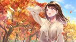  1girl :d amagi_shino autumn_leaves blue_sky blush brown_hair brown_shirt cloud highres leaf long_hair long_sleeves maple_leaf open_mouth original outdoors red_eyes shirt sky smile solo standing tree 