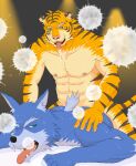  2015 anthro barazoku blue_body blue_fur bodily_fluids canid canine canis domestic_dog drooling duo felid fur humanoid_hands kemono male male/male mammal muscular muscular_male nipples pantherine saliva sex sweat tiger unknown_artist 
