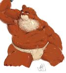  2004 anthro beard brown_body brown_fur bulge facial_hair fur kemono kira_nerisu male mammal musclegut navel overweight overweight_anthro overweight_male simple_background solo underwaer ursid white_background 