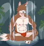  2018 anthro asian_clothing barazoku brown_body brown_fur canid canine canis clothing digital_media_(artwork) domestic_dog east_asian_clothing fundoshi fur humanoid_hands japanese_clothing kemono male mammal muscular muscular_anthro muscular_male nipples oekaki sitting solo underwear unknown_artist water 