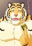  2008 anthro barazoku condom felid fur humanoid_hands japanese_text kedama kemono male mammal pantherine pink_nose sexual_barrier_device solo text tiger translated 