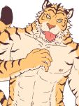  2012 anthro barazoku felid fur humanoid_hands kedama kemono low_res male mammal muscular muscular_anthro muscular_male navel nipples pantherine simple_background solo tiger tongue tongue_out white_background yellow_eyes 