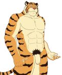  2008 anthro barazoku felid flaccid genitals humanoid_genitalia humanoid_hands humanoid_penis kedama kemono male mammal muscular muscular_male pantherine penis pubes simple_background tiger white_background 