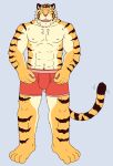  2008 anthro barazoku bulge clothing felid humanoid_hands kedama kemono male mammal muscular muscular_anthro muscular_male pantherine simple_background solo tiger underwear 