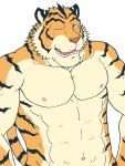  2010 anthro barazoku felid fur kedama kemono male mammal navel nipples one_eye_closed pantherine simple_background solo tiger white_background wink 