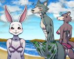  2021 5:4 abs annoyed anthro athletic athletic_anthro athletic_male beach beastars big_bulge bikini black_nose blush bodily_fluids breasts bulge butt canid canine canis clothed clothing countershade_face countershade_legs countershade_torso countershading cross-popping_vein daimo distracted_boyfriend domestic_rabbit drooling dwarf_rabbit erection erection_under_clothing female fur grey_body grey_countershading grey_fur group haru_(beastars) hi_res juno_(beastars) lagomorph legoshi_(beastars) leporid looking_at_another looking_back male male/female mammal meme nipples open_mouth oryctolagus pecs rabbit saliva seaside side_boob smile swimming_trunks swimwear vein walking water white_body white_fur wolf 