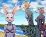  2021 5:4 abs annoyed anthro athletic athletic_anthro athletic_male beach beastars big_bulge bikini black_nose blurred_foreground blush bodily_fluids breasts bulge butt canid canine canis clothed clothing countershade_face countershade_legs countershade_torso countershading cross-popping_vein daimo distracted_boyfriend domestic_rabbit drooling dwarf_rabbit erection erection_under_clothing female fur grey_body grey_countershading grey_fur group haru_(beastars) hi_res juno_(beastars) lagomorph legoshi_(beastars) leporid looking_at_another looking_back male male/female mammal meme nipples open_mouth oryctolagus pecs rabbit saliva seaside side_boob smile swimming_trunks swimwear vein walking water white_body white_fur wolf 
