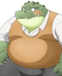  2021 anthro belly blush bodily_fluids bottomwear clothing crocodile crocodilian crocodylid green_body hi_res kemono male overweight overweight_anthro overweight_male pants puss3250 reptile scalie shirt simple_background solo sweat topwear white_background 