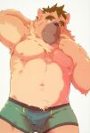  2021 anthro brown_body brown_fur bulge canid canine canis clothing cute_fangs domestic_dog fur heylaw21 hi_res humanoid_hands kemono male mammal moobs musclegut nipples scar solo tokyo_afterschool_summoners underwear video_games yasuyori 