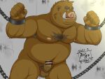  2021 4:3 anthro balls belly blush brown_body brown_fur chain chained erection fur genitals hi_res humanoid_genitalia humanoid_hands humanoid_penis kemono male mammal moobs nipples overweight overweight_anthro overweight_male penis solo suid suina sus_(pig) tanutronik753_k wild_boar 