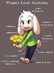  asriel_dreemurr big_ears black_bottomwear black_clothing black_pants bottomwear bovid bukoya-star caprine clothed clothing english_text flower goat male mammal monster pants paws plant smile solo text undertale video_games yellow_flowers young 