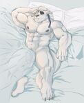  absurd_res anthro balls barely_visible_balls barely_visible_genitalia bed biceps bulge canid canine canis eye_patch eyewear furniture genital_outline genitals hi_res joelbearb lying male mammal muscular muscular_anthro muscular_male navel nipples pecs penis_outline solo wolf 