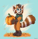  ailurid anthro autumn food fruit mammal plant pumpkin red_panda scarf solo waywardmutt 