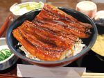  blurry blurry_background bowl chopsticks cucumber cucumber_slice cup eel fish food food_focus grilled_eel highres igaiga_(igarashijunji) no_humans original realistic rice still_life unajuu_(food) vegetable 