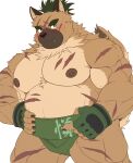  2021 anthro belly blush brown_body brown_fur canid canine canis cute_fangs domestic_dog fur hi_res kemono m0000rgn male mammal moobs nipples overweight overweight_anthro overweight_male scar simple_background solo sumo tokyo_afterschool_summoners video_games white_background yasuyori 