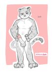  absurd_res andy_(oc) anthro claws erection felid fluffy_ears fur genitals grey_body grey_fur hi_res jizoku male mammal nude pantherine penis smile smirk snow_leopard solo spots spotted_body spotted_fur whiskers 