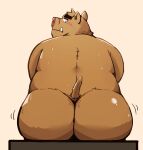  2021 anthro big_butt blush brown_body brown_fur butt fur hi_res kemono male mammal overweight overweight_anthro overweight_male re_jin37 simple_background sitting solo suid suina sus_(pig) wild_boar 