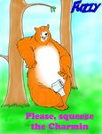  bear charmin charmin_bears forest fuzzy_(artist) leonard mammal mascots solo squeeze toilet_paper tree wood 